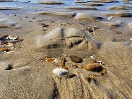 at the beach in Denmark photo