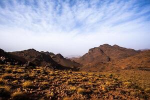 2024 03 13 Jebel Saghro Atlas valley 32 photo