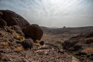 2024 03 13 Jebel Saghro Atlas valley 42 photo