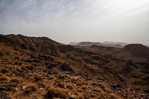 2024 03 13 Jebel Saghro Atlas valley 36 photo