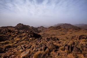 2024 03 13 Jebel Saghro Atlas valley 33 photo
