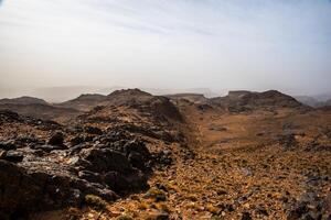2024 03 13 Jebel Saghro Atlas valley 35 photo