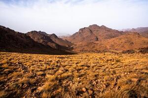 2024 03 13 Jebel Saghro Atlas valley 31 photo