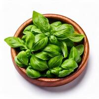 Basil in a wooden bowl, close up, front view, isolated in white background photo