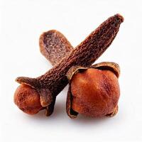Close up photo of a clove, front view, isolated in white background