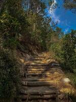 A path leading up to a mountain with trees and rocks photo