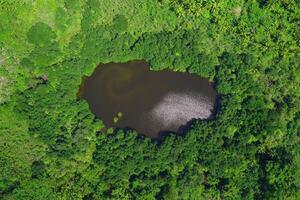 An aerial view of a lake surrounded by trees photo