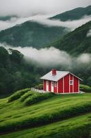 Small Red House with White Roof in Foggy Hills photo