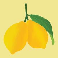 A hand drawn two yellow lemon with a green stem and leaf vector