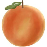 A juicy watercolor ripe orange with a green leaf. Perfect for food illustrations, healthy eating themes, and fresh, summery designs vector