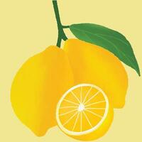 A hand drawn two yellow lemon and a half lemon with a green stem and leaf vector
