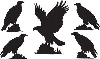 A white background with a black silhouette of an eagle in various poses. vector