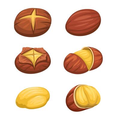 Roasted Chestnut Collection Set Cartoon Illustration