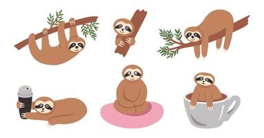 Funny sloth animals collection in rainforest. Hand drawn tropical bears character relaxing in greenery, sitting and hanging on branch vector