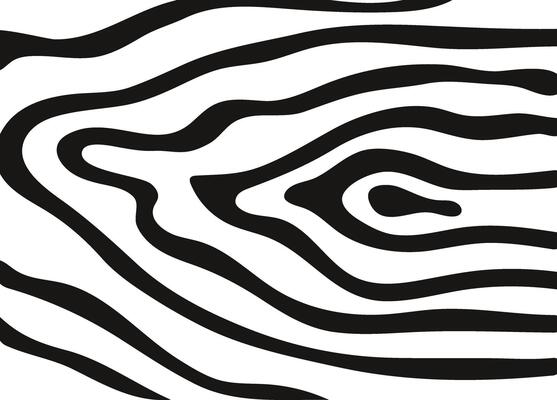 Abstract hand drawn wooden texture pattern. Black and white forest print