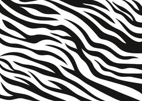Abstract hand drawn zebra skin stripe pattern. Safari black and white african wildlife animal print vector