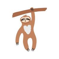 Funny sloth hanging on one paw on tree branch. Hand drawn playful tropical bear character in wild vector