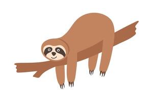Hand drawn sloth hanging on brown branch. Playful tropical bear character in jungle vector