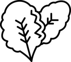 Lettuce Line Icon vector