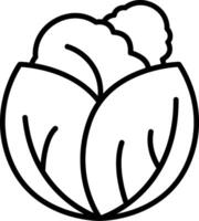 Cabbage Line Icon vector