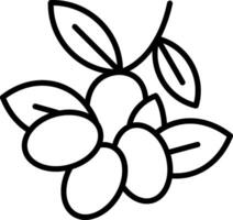 Olives Line Icon vector