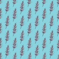 Seamless pattern with lavender flowers for decorative print, wrapping paper, greeting cards, wallpaper and fabric vector
