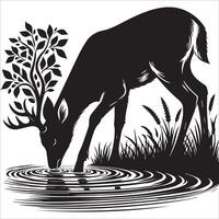 Deer Drinking from Stream Design vector