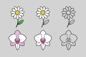 Daisy and Orchid Flower Bundle in Three Styles vector