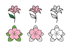 Elegant Floral Set of Cherry Blossom and Lily in Multiple Styles vector