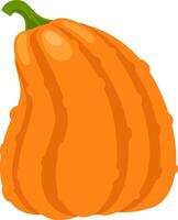 Vibrant pumpkin featuring segmented lobes and a sturdy green stem, capturing the spirit of autumn harvests and festive celebrations during halloween and thanksgiving vector