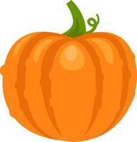 Vibrant pumpkin illustration featuring rich orange color, segmented rind, and a curled green stem, ideal for autumnal themes, harvest celebrations, and halloween designs vector