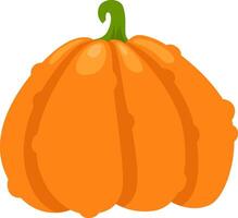 Bright orange pumpkin resting on a white background, showcasing its distinct segments and a vibrant green stem, perfect for autumnal and harvest themed designs vector