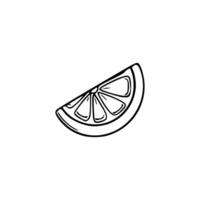A slice of lemon is shown in a line drawing vector