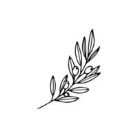 Olive branch icon in line art style vector