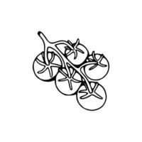 A black and white drawing of a bunch of tomatoes vector