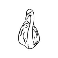 A black and white drawing of a swan vector