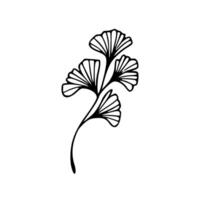 Ginkgo leaf icon in black and white on white background vector