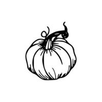 A black and white drawing of a pumpkin vector
