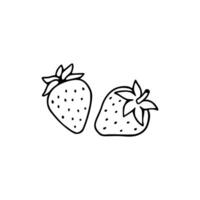 Two strawberries are shown in a line drawing vector