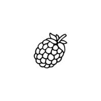 A black and white drawing of a raspberry vector