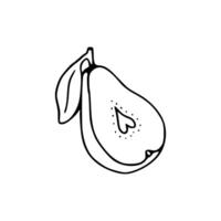 A pear is drawn in black and white vector