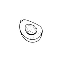 A drawing of an avocado on a white background vector