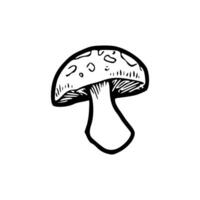 A black and white drawing of a mushroom vector