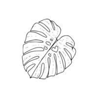 Monstera leaf coloring page vector