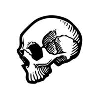 A black and white drawing of a skull vector