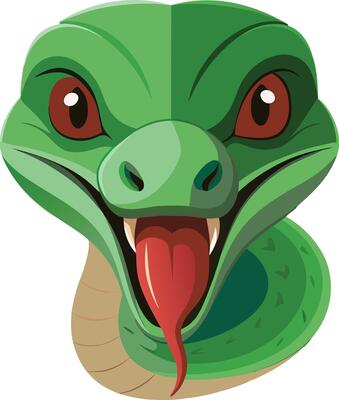 A snake head art colorful illustration design on a wildlife forest animal