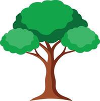 Wonderful green an Aspen tree art illustration and colorful graphics design vector