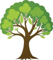 An Olive tree art illustration and colorful graphics design vector