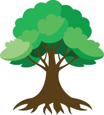 A Mangrove tree art illustration and colorful graphics design
