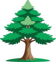 A green Cedar tree art illustration and colorful graphics design vector